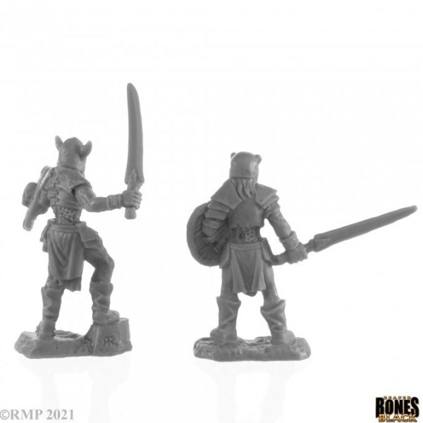 Reaper Bones Black - Rune Wight Warriors (2)