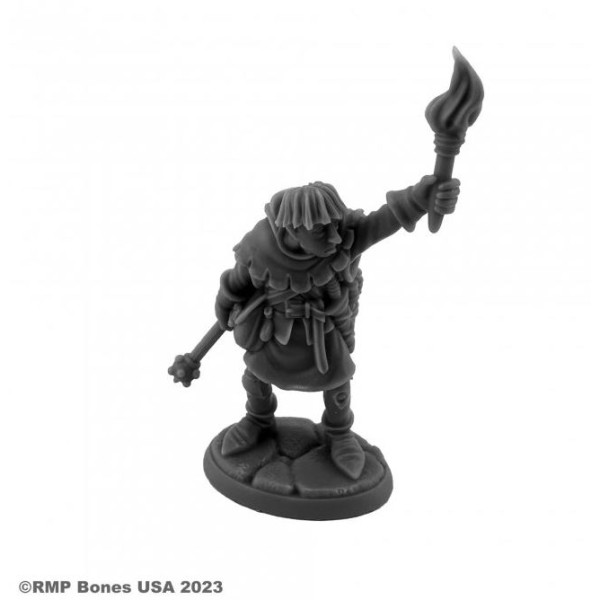 Reaper Dungeon Dwellers (Bones USA Plastic) - Henchmen: Linkboy 