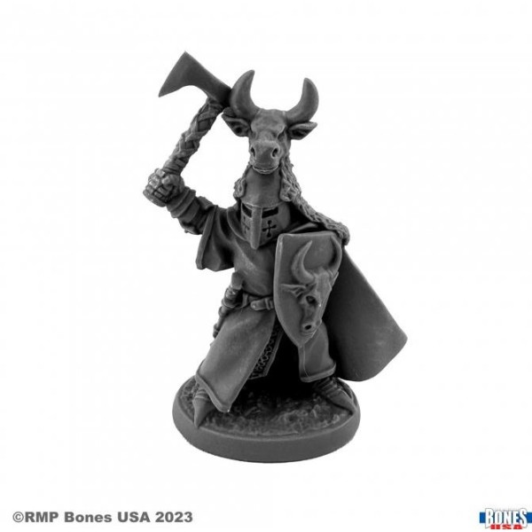 Reaper - Bones USA - Sir Guy the Red, Heraldic Knight