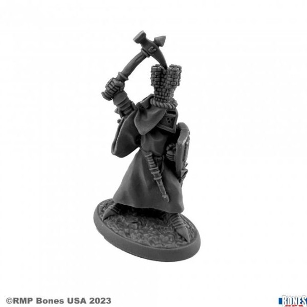 Reaper - Bones USA - Sir Roland the Grey, Heraldic Knight