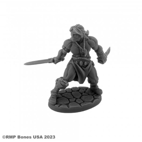 Reaper Dungeon Dwellers (Bones USA Plastic) - Hyborian Hero