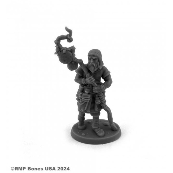 Reaper Dungeon Dwellers (Bones USA Plastic) - DDRPG: Adept 