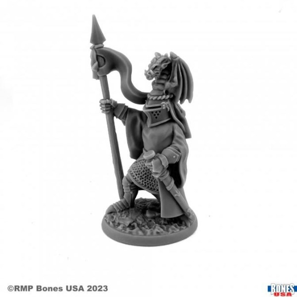 Reaper - Bones USA - Sir Justin the Green, Heraldic Knight