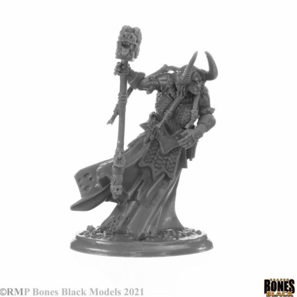 Reaper Bones Black - Elemental Scions - Boxed Set