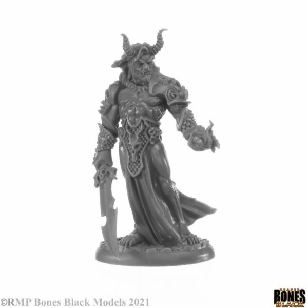 Reaper Bones Black - Elemental Scions - Boxed Set