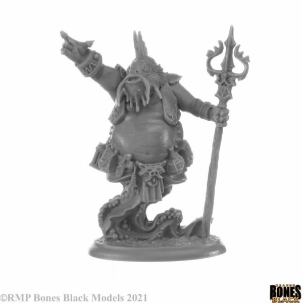 Reaper Bones Black - Elemental Scions - Boxed Set