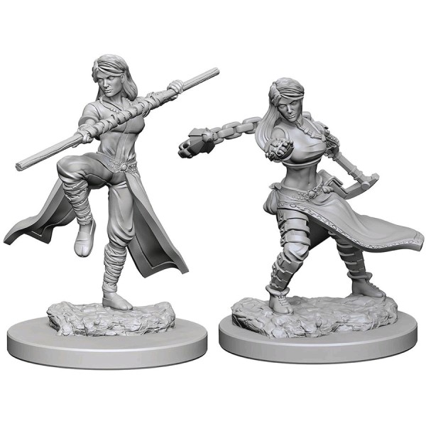 d&d miniatures human fighter