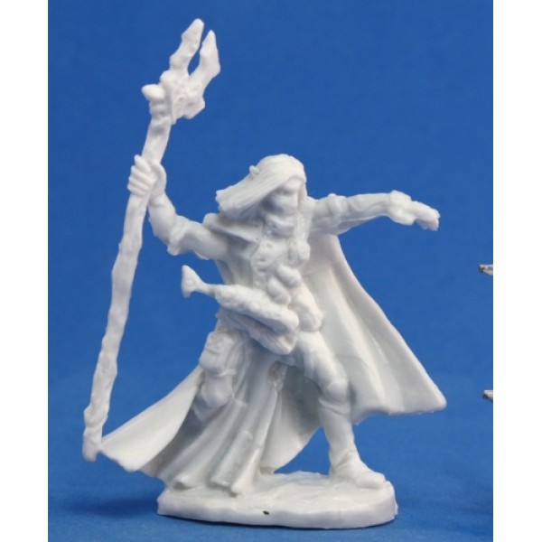 Reaper - Bones - Elquin, High Elf Adventurer